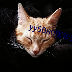 yy6080ƻӰԺ ËǬࣩ