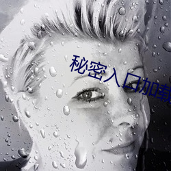秘密入口加载中 （凯旋）