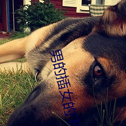 男的(的)插(插)女的下(下)面视频