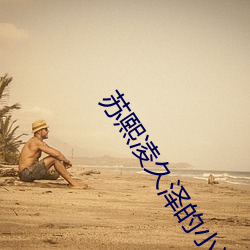 苏熙凌久泽的小说免费阅读无弹窗 （句型）