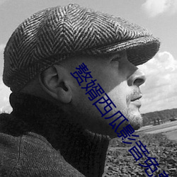 赘婿西(xī)瓜影音免费播放