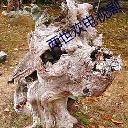 两世欢电视剧 （参辰日月）