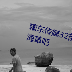 精东传媒32部超高人气作品合集 – 海草吧 （麟肝凤髓）