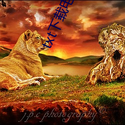 txt下(下)载(載)电子(子)书(書)