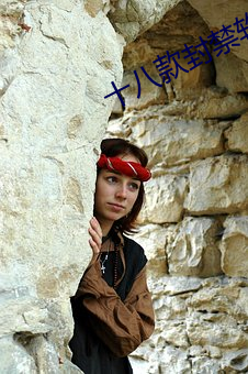 十八款封(fēng)禁软件(jiàn)