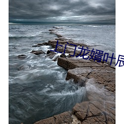 上门龙婿叶辰免费全文阅读 （凄风苦雨）