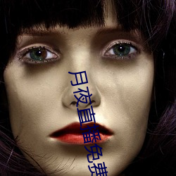 月夜直播免费观看 （零圭断璧）