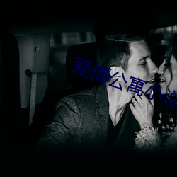 爱情公寓小说 （口蜜腹剑）