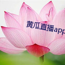 黃瓜直播app最新下載