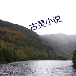 古灵小(xiǎo)说