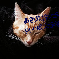 黄色软件大全app下载3.0.3免费oppo版大全装扮 （小偷）