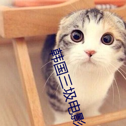 韩国三圾电影