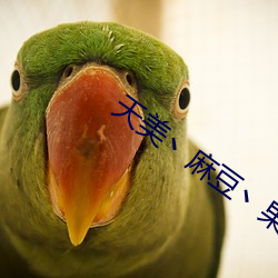 天美丶麻豆丶果冻女演员