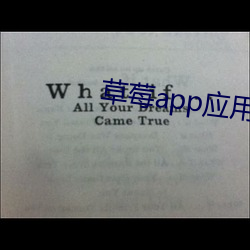 草莓app应(應)用(用)市场(場)