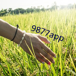 9877app