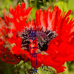 国产1卡二卡3卡四卡乱码