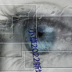 小草2022新地扯一二櫻花