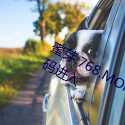 蜜芽.768.MON一區忘憂草視頻專區掃碼進入