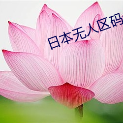 日(日)本(本)无人区码卡1卡2卡