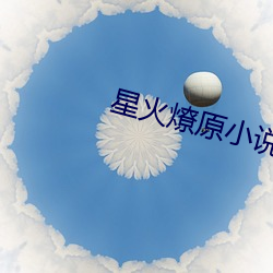 星(xīng)火燎原(yuán)小说