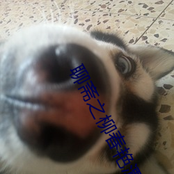 聊斋之柳(liǔ)春艳(yàn)潭超清魔(mó)唇劫(jié)