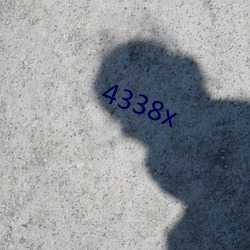 4338x