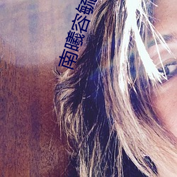 南曦容毓攝政王全文免費閱讀