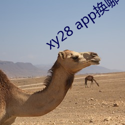 xy28 app换哪(nǎ)个了(le)