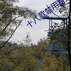 十八款禁用看尿口入口中文版