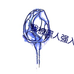 我(我)被黑人强入(入)了