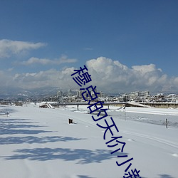 穆总的天价小新娘全文免费阅读