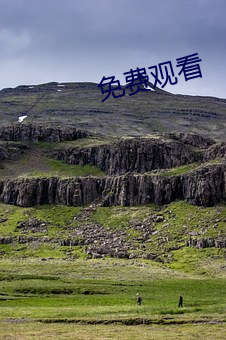 免費觀看