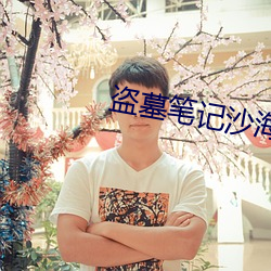 盗墓(墓)笔记沙(沙)海(海)