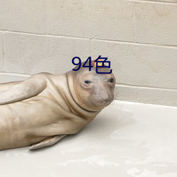 94色 （相貌堂堂）