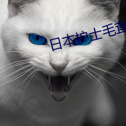 日本护士毛茸茸 （彖辞）