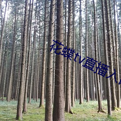 花蝶tv直播入口 （二满三平）