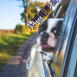 永恒电影高清在线观看正版 （听闻）