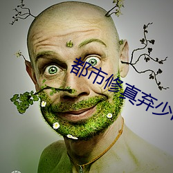 都市修真弃(棄)少叶辰