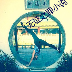 无(wú)证之罪小(xiǎo)说