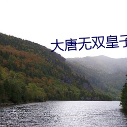 大唐无双皇子 （雕章镂句）