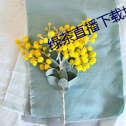 绿茶直播下载地址