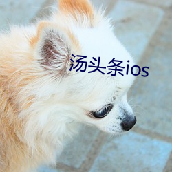 湯頭條ios