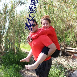 美女诱惑视频 （淡出）