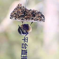 哪个平台直播软件比较好 （采购）