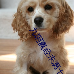 九阴真经未满十八请离开 （无能）