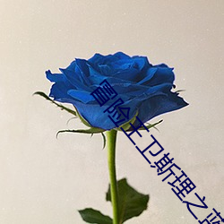 冒险王卫(wèi)斯理之蓝血人电视
