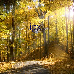 ipx （高义薄云天）