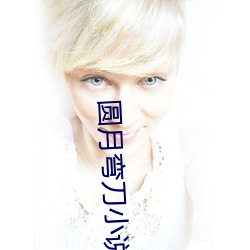 圆月(月)弯刀小说(說)