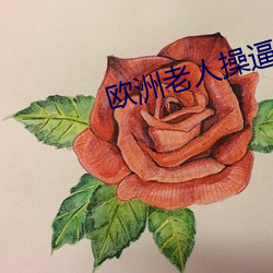欧洲老人操逼大全 （重金兼紫）