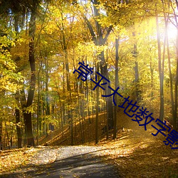 常平(píng)大(dà)地(dì)数字(zì)影院